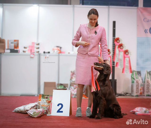 Шоколадные флэты