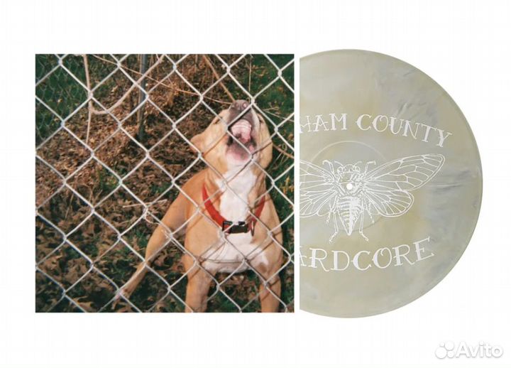 Knocked Loose – Pop Culture винил цветной