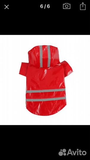 Одежда для маленьких собак