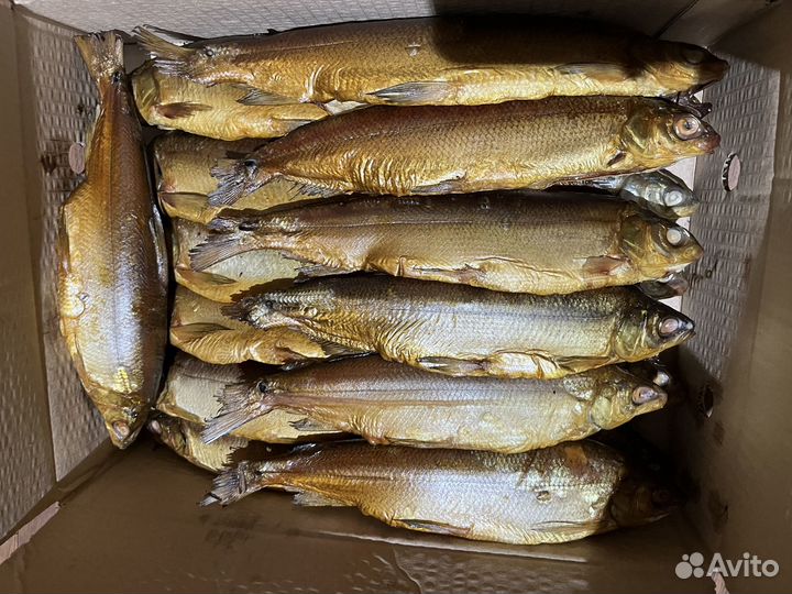 Икра пеляди