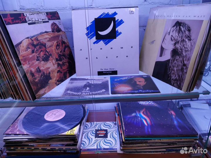 Виниловые пластинки