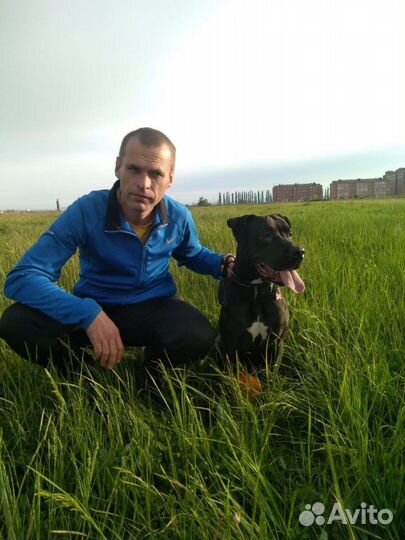 Любая работа, подработка