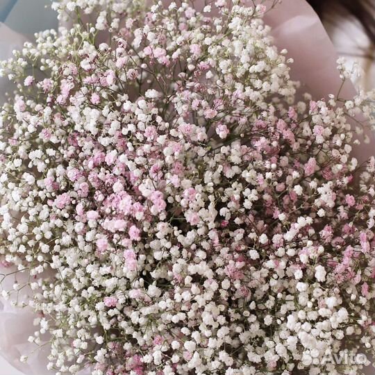 Цветы с доставкой/ гипсофила/ букет из гипсофилы