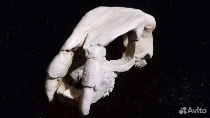 Иск. растения, декор для аквариума