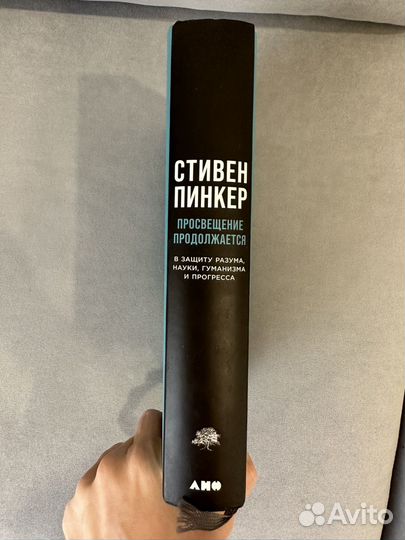Стивен Пикнер Просвещение продолжается