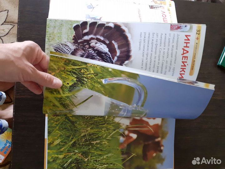 Детская энциклопедия