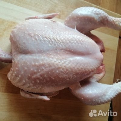 Цыплята бройлеры мясо