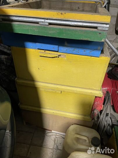 Продам пасеку