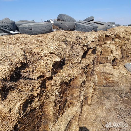 Силос сенаж