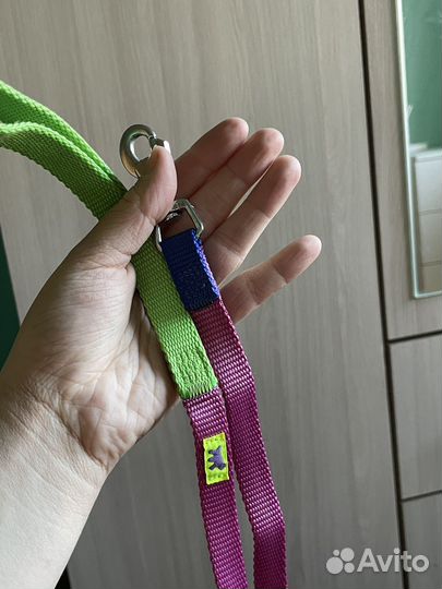 Амуниция для собак