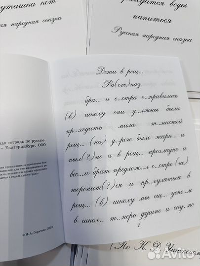 Рабочие тетради и прописи ркш