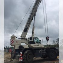 Terex Bendini RC 40, 2011