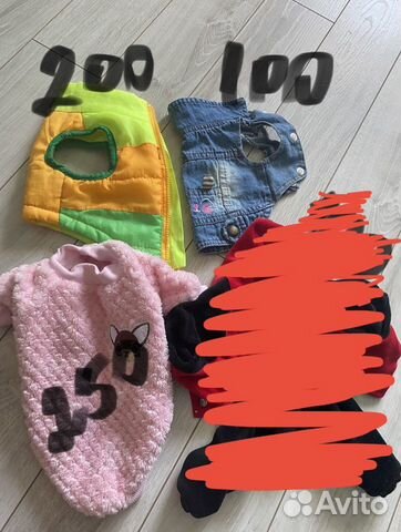 Одежда для собак