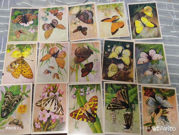 Открытки чистые серии 1976-1982