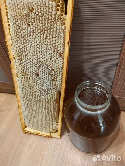 Мед чувашский,разнотравье,перекачанный и в сотах