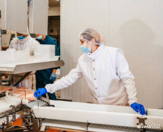 Упаковщики и фасовщики с ежедневной оплатой