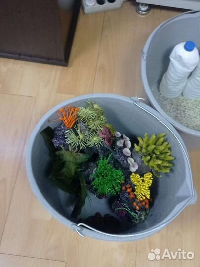 Аквариумист