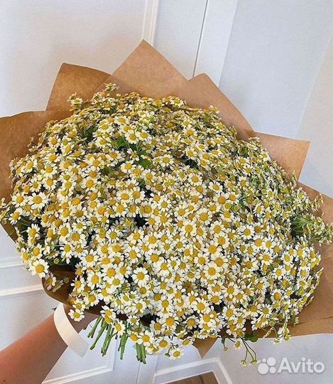 Доставка цветов. Ромашки