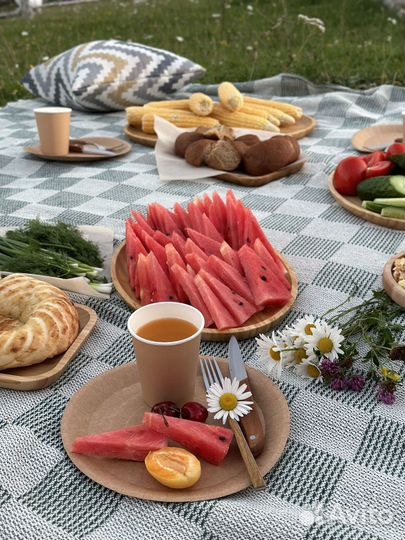 Проведем пикник под ключ для любой компании