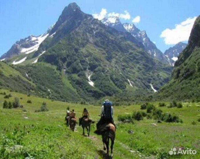 Экскурсии в Абхазию. Насыщенно и точка