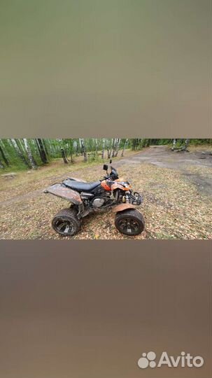 Шосейный квадр