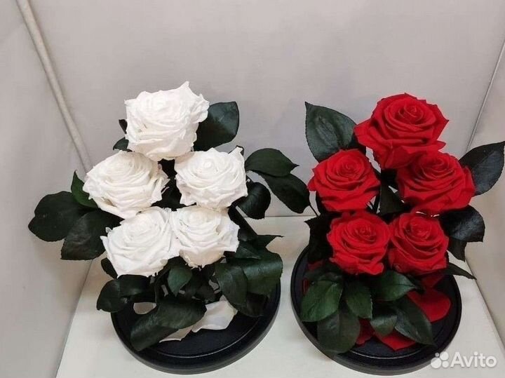 Розы оптом