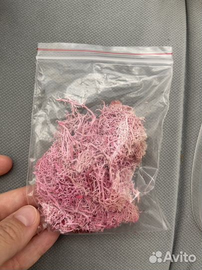 Мох натуральный крашенный сухоцвет