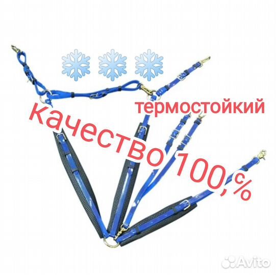 Уздечка+Мартингал биотан