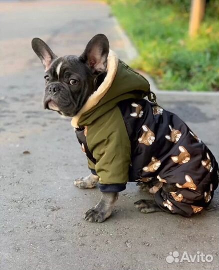 Комбинезон для собаки