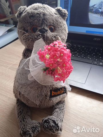 Игрушка кот басик