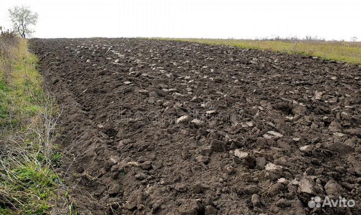 Земля плодородная
