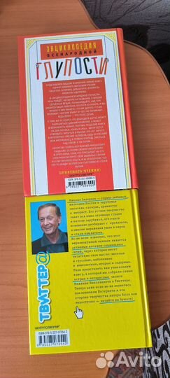 Книги Михаил Задорнов (2 книги)