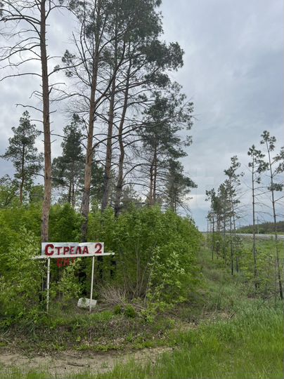 Участок 8 сот. (СНТ, ДНП)