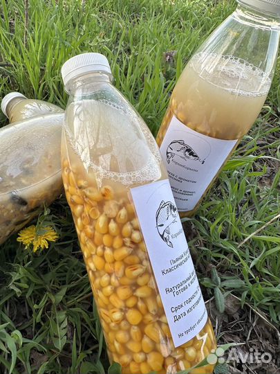 Прикормка для рыбалки