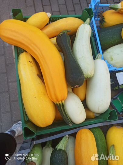 Кабачки домашние