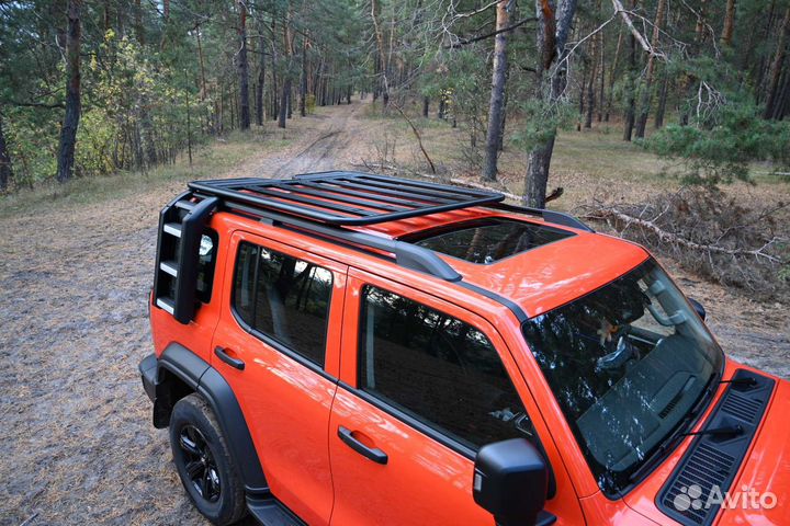 Лестница багажник на Tank300