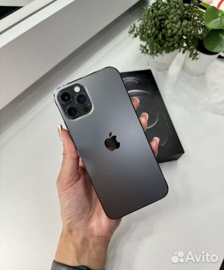iPhone 12 Pro, 256 ГБ