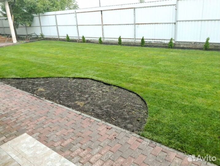 Рулонный газон