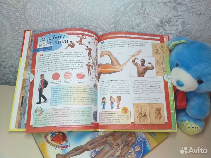 Книги по анатомии человека