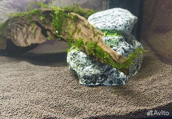 Пропант алюмосиликатный для аквариума