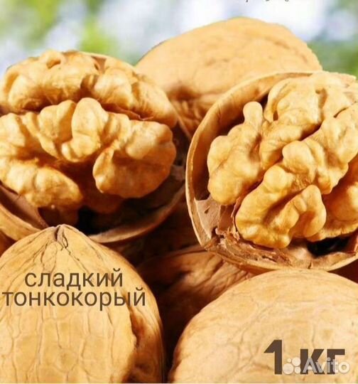 Орех грецкий Чили