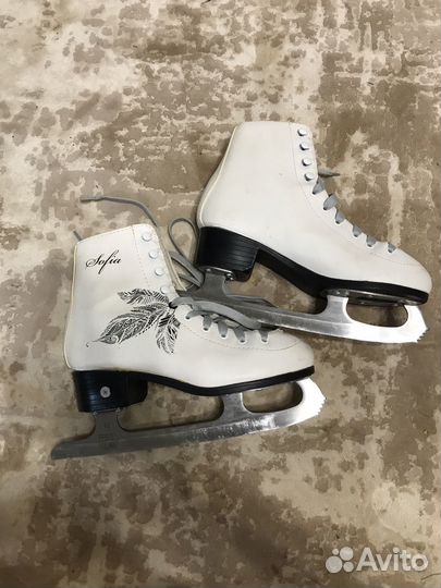 Коньки nordway sofia