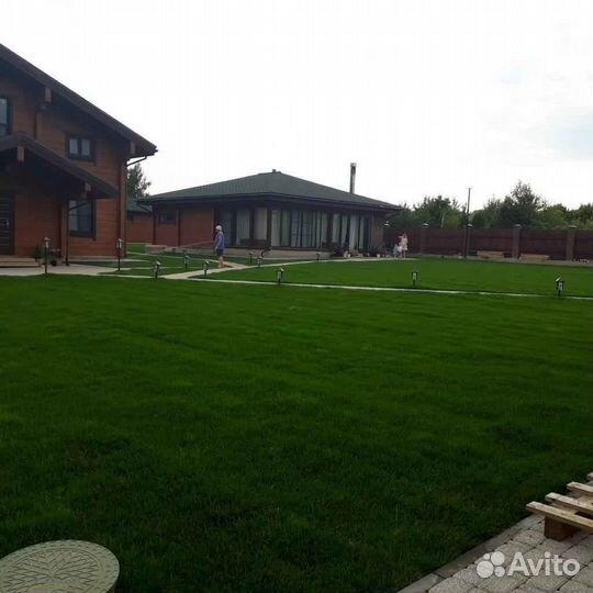 Рулонный газон напрямую от производителя