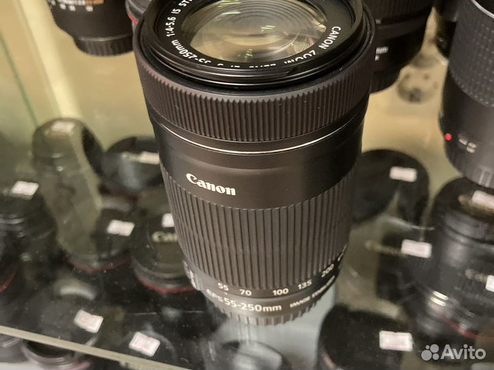 Canon EF-S 55-250mm f/4-5.6 IS STM