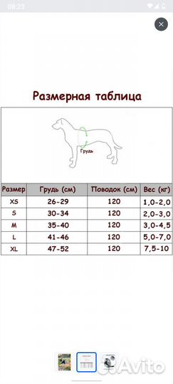 Шлейка и поводок для маленькой собаки