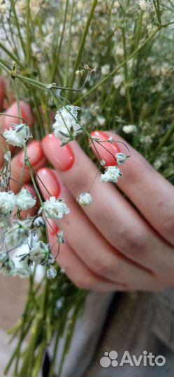 Маникюр/педикюр с покрытием гель-лак