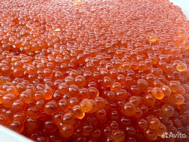 Икра Красная Кеты 2024