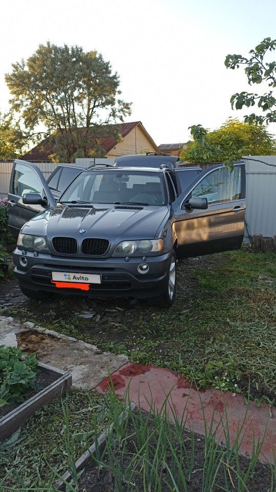 BMW X5: фото владельца