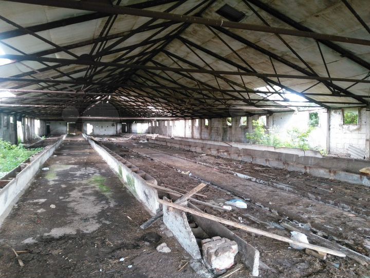 Помещение свободного назначения, 1500 м²