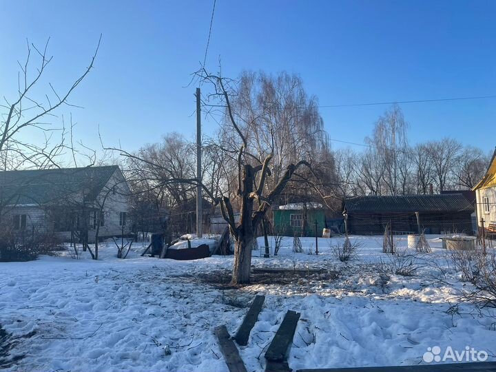 Обрезка деревьев